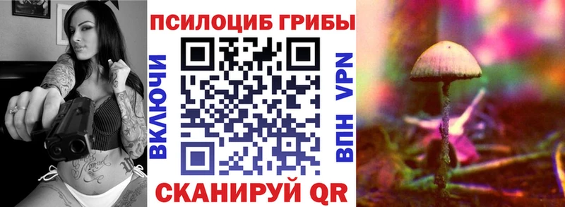 цены Среднеколымск Галлюциногенные грибы MAGIC MUSHROOMS
